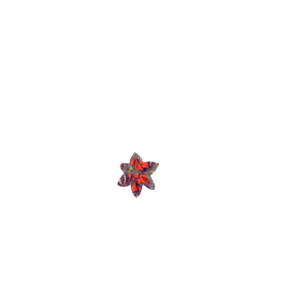 Barrette fleur étoile calypso