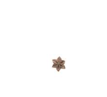 Barrette fleur étoile lin cuivré