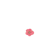 Petite Barrette Pétales de Fleur feuillage or rose