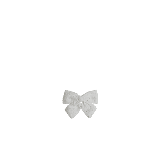 Barrette noeud papillon broderie anglaise