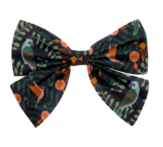 Barrette noeud papillon birdy