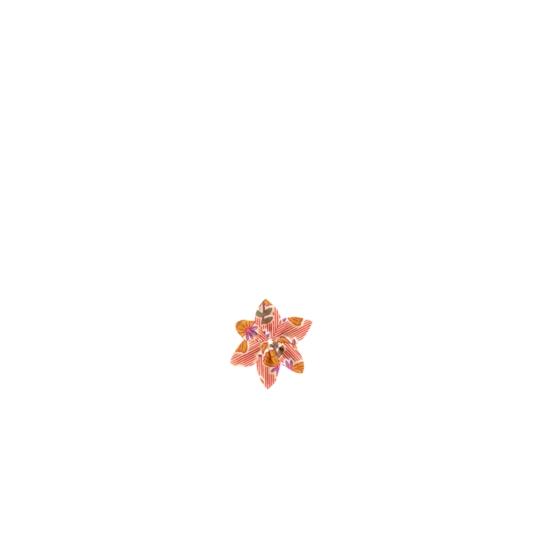 Barrette fleur étoile shanti