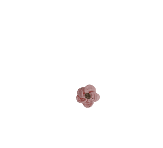 Petite Barrette Pétales de Fleur gaze pois or rose