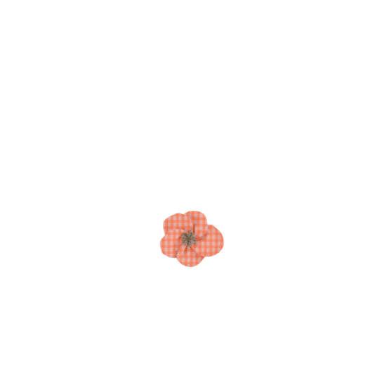 Petite Barrette Pétales de Fleur vichy orange fluo