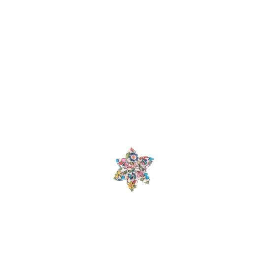 Barrette fleur étoile mille et une fleurs