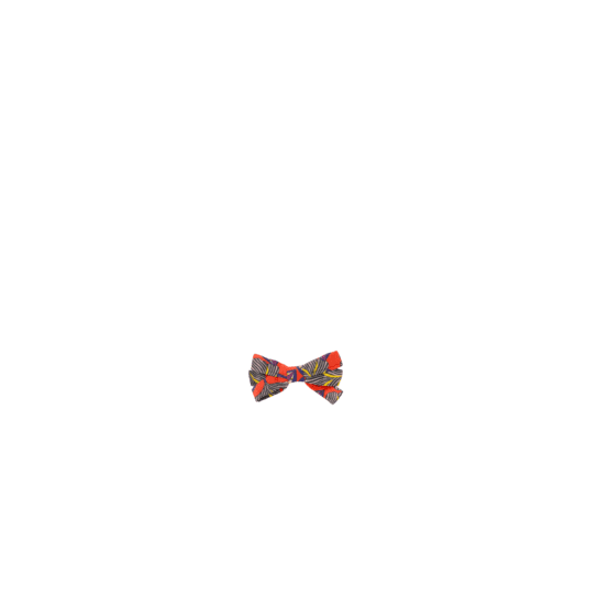 Barrette ruban petit  calypso