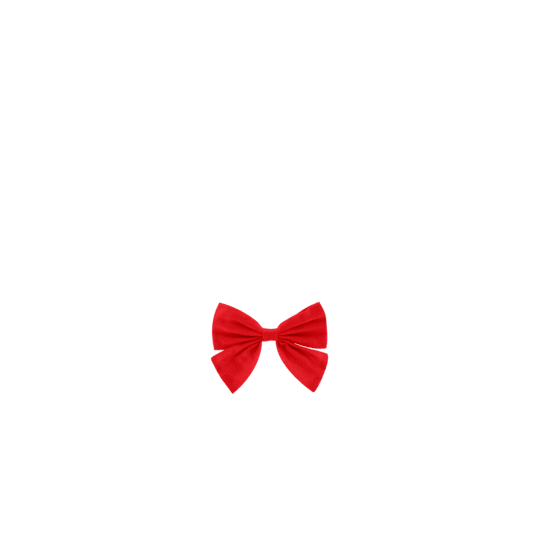 Barrette noeud papillon rouge