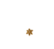 Barrette fleur étoile gypso ocre