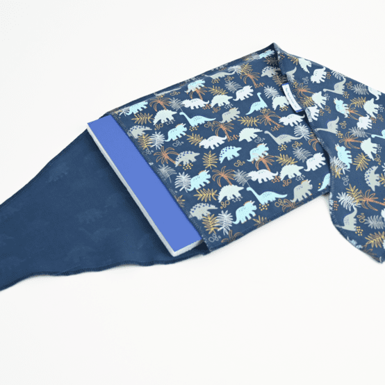 Fupochiki L (22 x 28 cm) jurassic dino marine