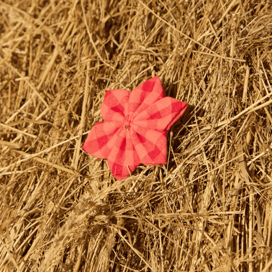Barrette fleur étoile vichy rouge corail