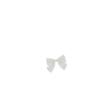 Barrette noeud papillon  blanc pailleté