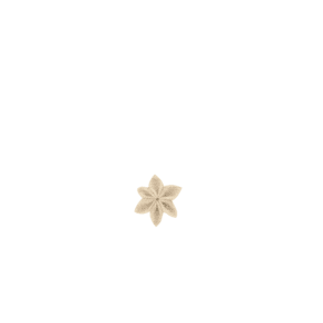 Barrette fleur étoile lin pailleté