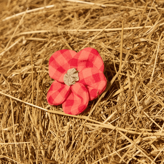 Petite Barrette Pétales de Fleur vichy rouge corail