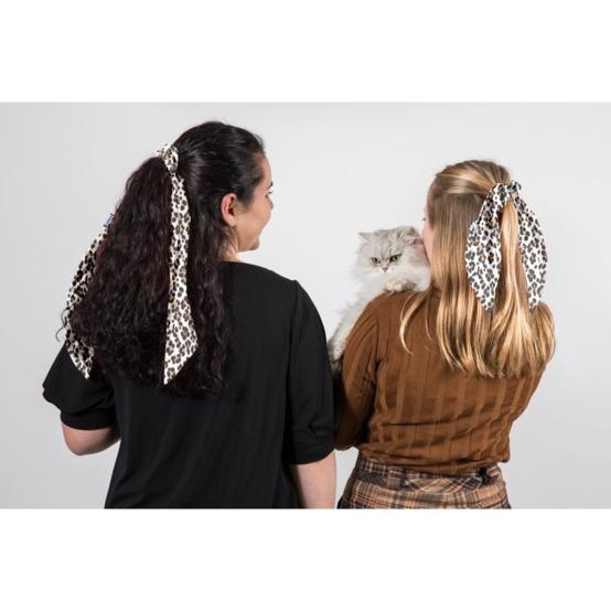 Foulchie court leopard