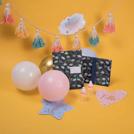 Protège carnet de santé jurassic dino marine