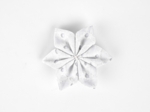 Barrette fleur étoile broderie anglaise