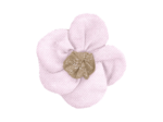 Mini Barrette Pétales de Fleur oxford rose