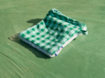 Mini-Gant Démaquillant vichy vert menthe