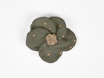 Petite Barrette Pétales de Fleur gaze pois or kaki