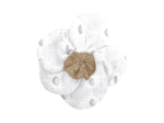 Mini Barrette Pétales de Fleur broderie anglaise blanche