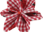 Barrette fleur étoile 4 vichy coccinelle