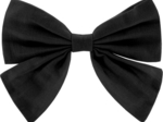 Barrette noeud papillon noir