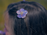 Mini Barrette Pétales de Fleur lavandula