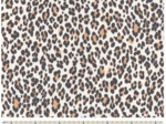 Tissu voile leopard