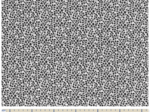 Tissu coton au mètre ex2311 feuillage noir et blanc