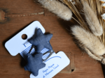 Barrettes clic-clac étoile jean fin