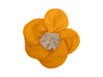 Mini Barrette Pétales de Fleur ochre
