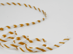 Cordon Spaghetti 7mm rayé or blanc